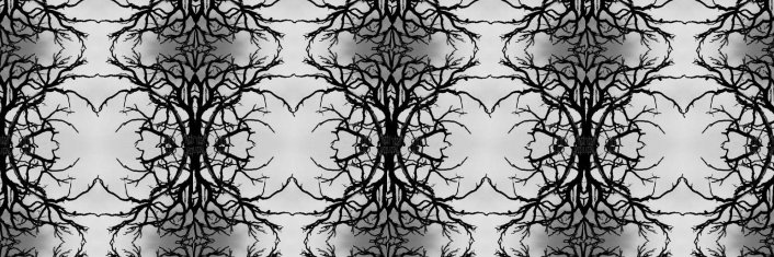 blackmouse852's profile banner image
