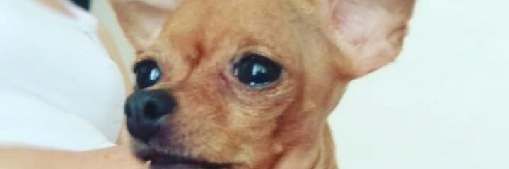 23vt_'s profile banner image