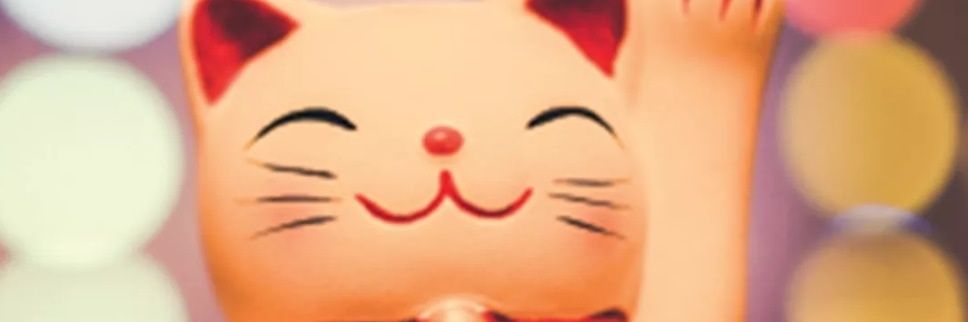 misscatastrof71's profile banner image