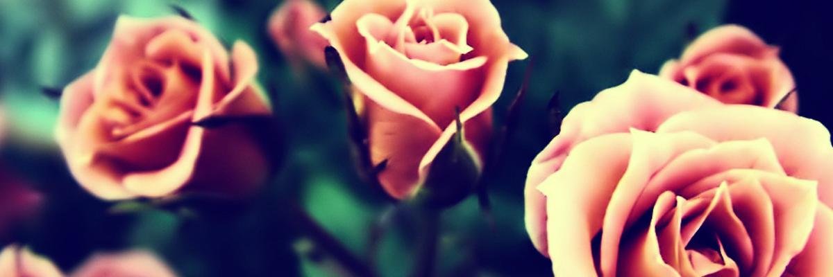 Jademcnn's profile banner image