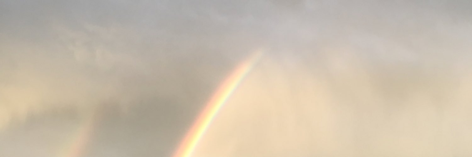 laureyose's profile banner image