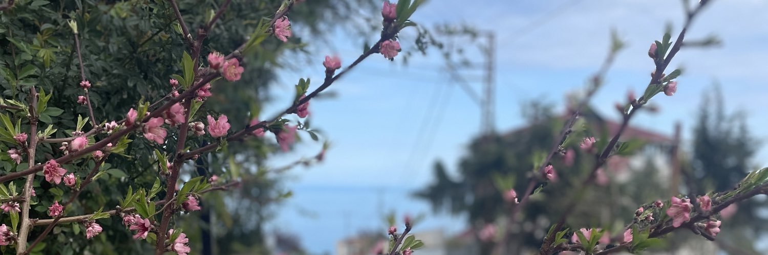 crnalsnn's profile banner image