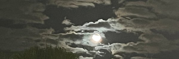 WillWork4Tenure Profile Banner