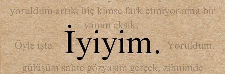 Turkiswari banner
