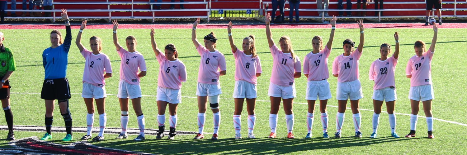 MvilleWsoc's profile banner image