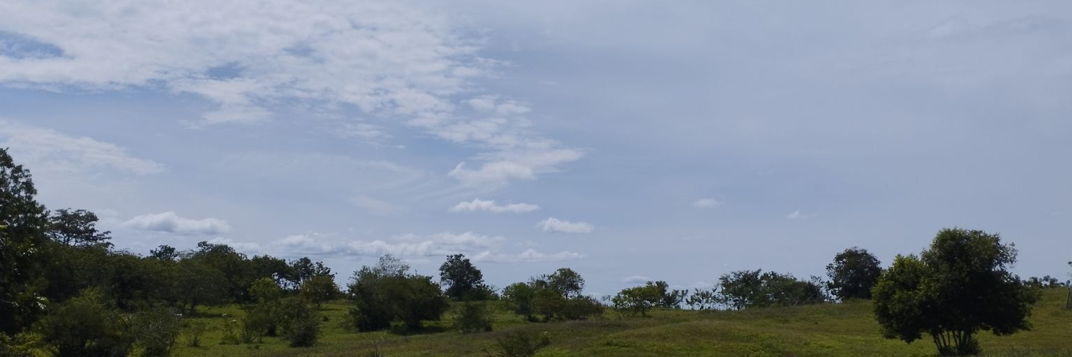 Yose_alvarez's profile banner image