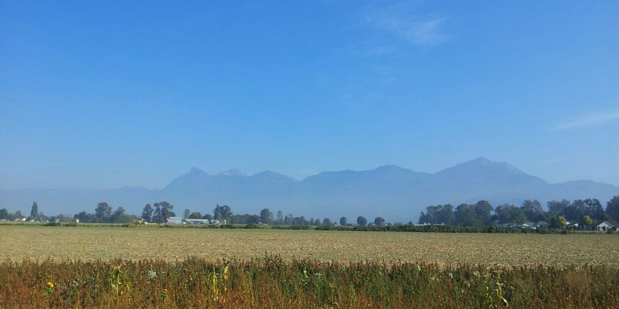 ChwkMunro's profile banner image