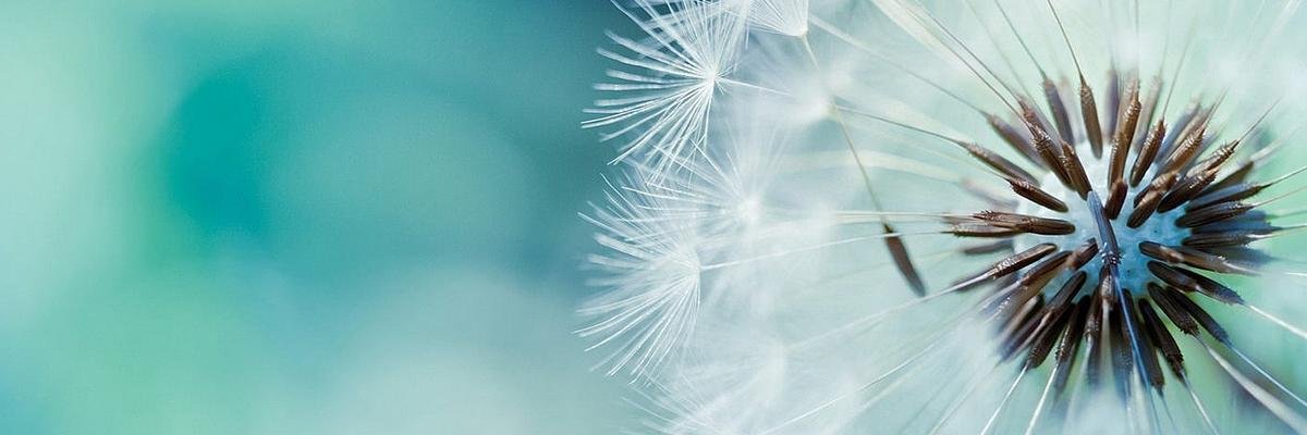 BanupriyaPriya's profile banner image