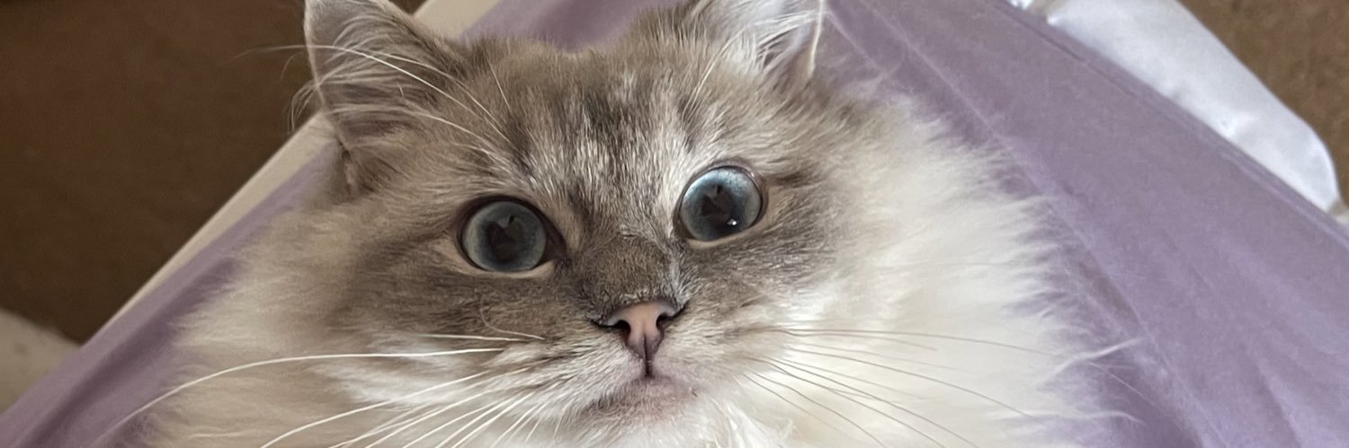 TheWetLemonHD's profile banner image