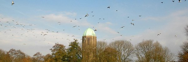 OvervechtGezond Profile Banner