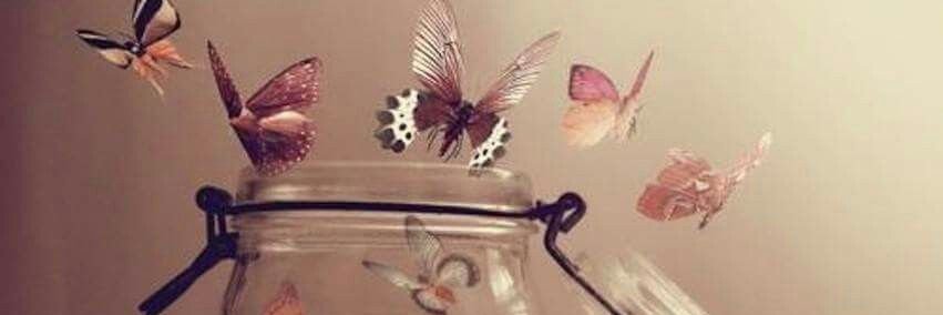 BButterfly13_'s profile banner image