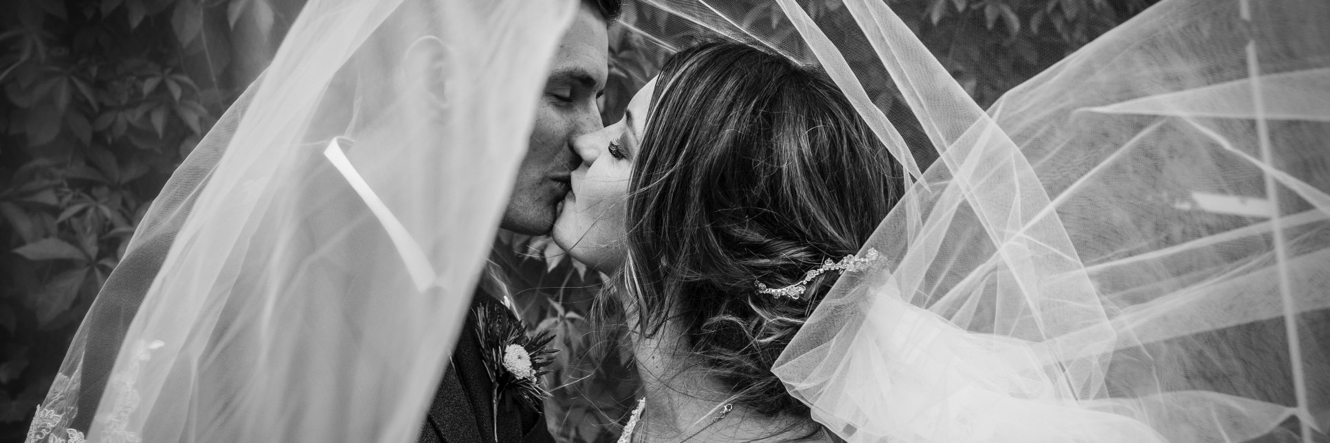 sdmphotography's profile banner image