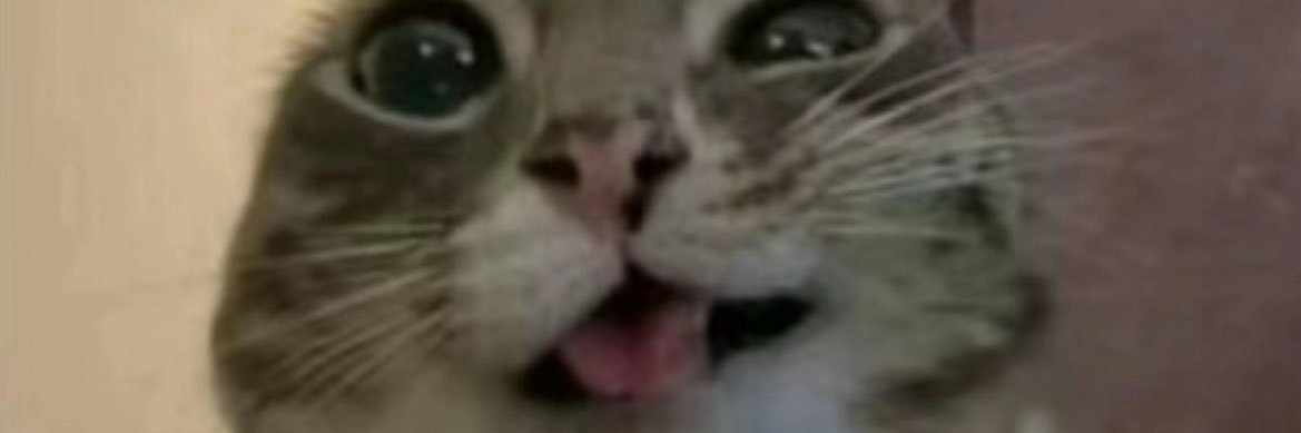 *+¥* banner
