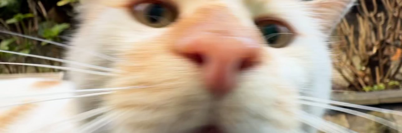 nurullahkaraaa's profile banner image