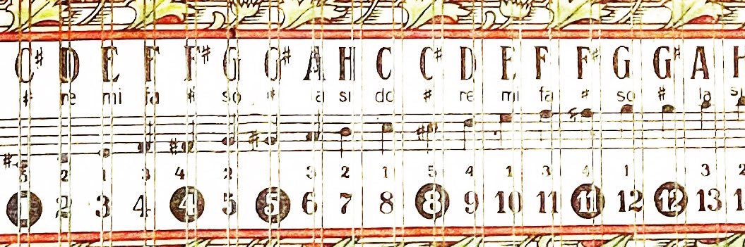 Ruth Hazleton 🍉 banner