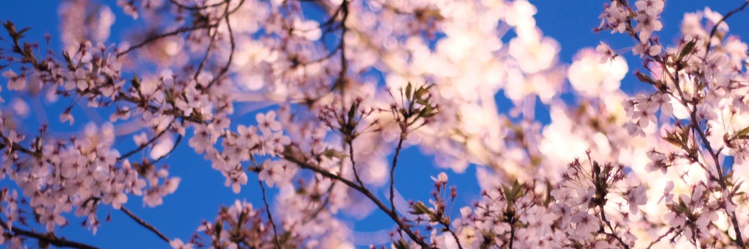 msm_fl_'s profile banner image
