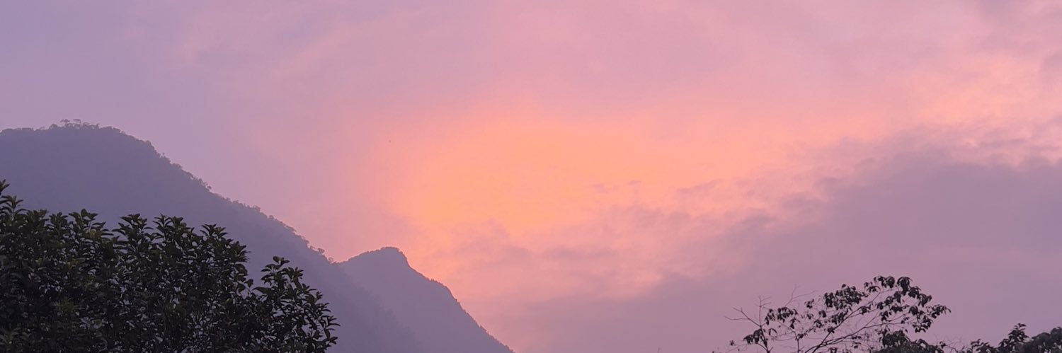 dcollazos09's profile banner image