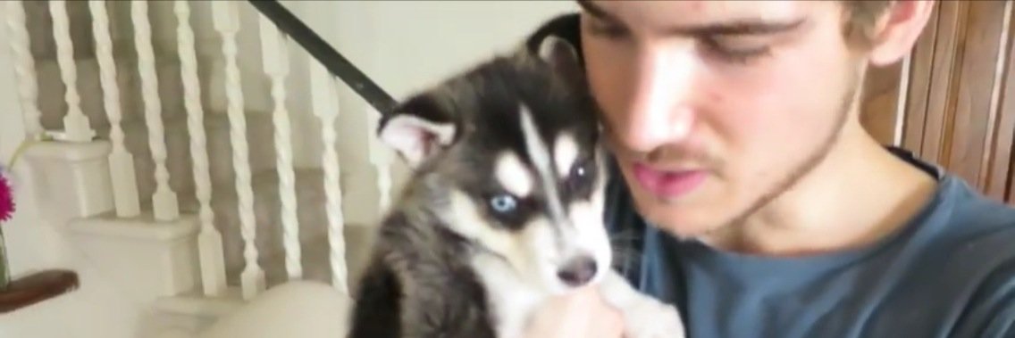 GraceffaWolf's profile banner image