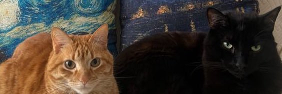 uribepili's profile banner image