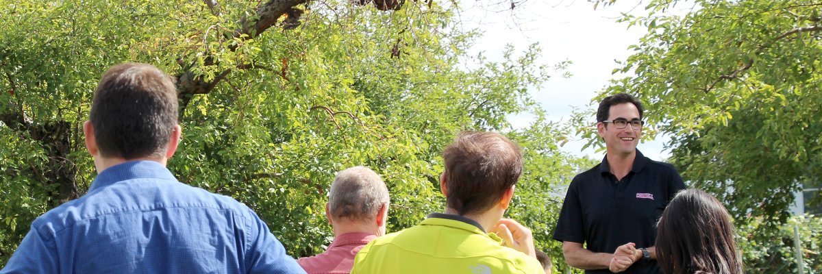 gregory michael peck banner