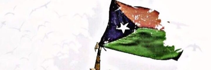 mandanashah's profile banner image