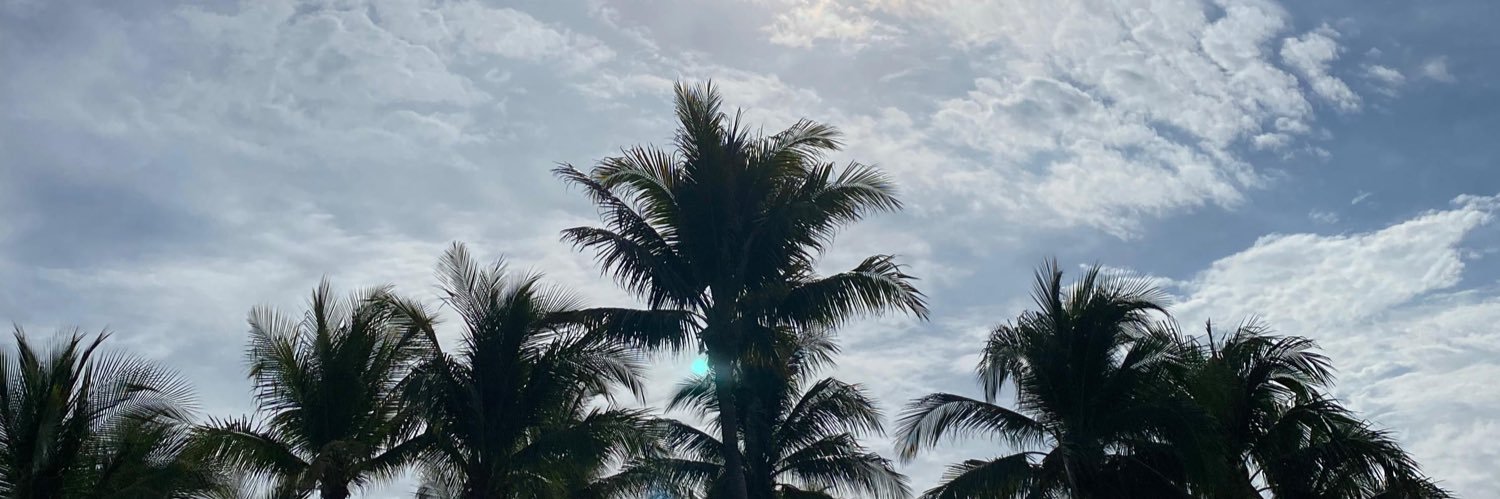 RokRouss's profile banner image