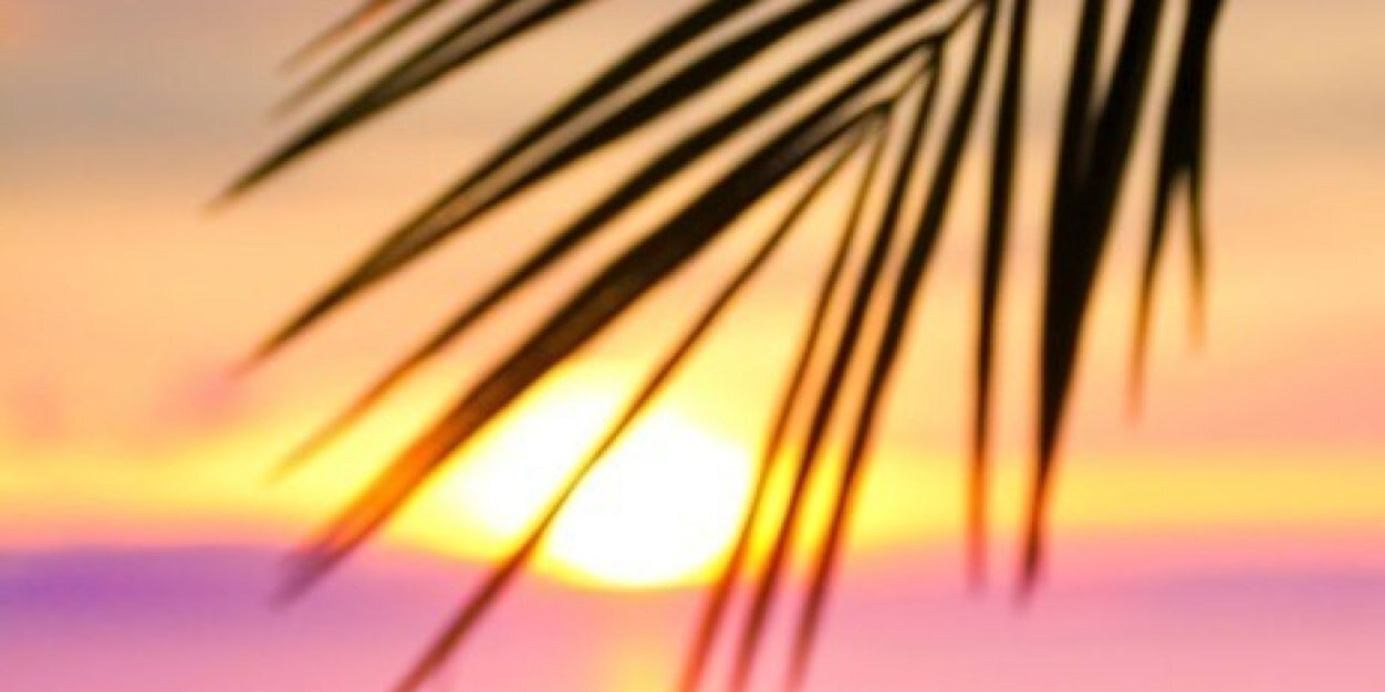 patrigtejedor's profile banner image