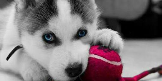 Priscy1Vale's profile banner image
