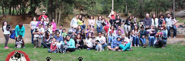 kinterrier Profile Banner