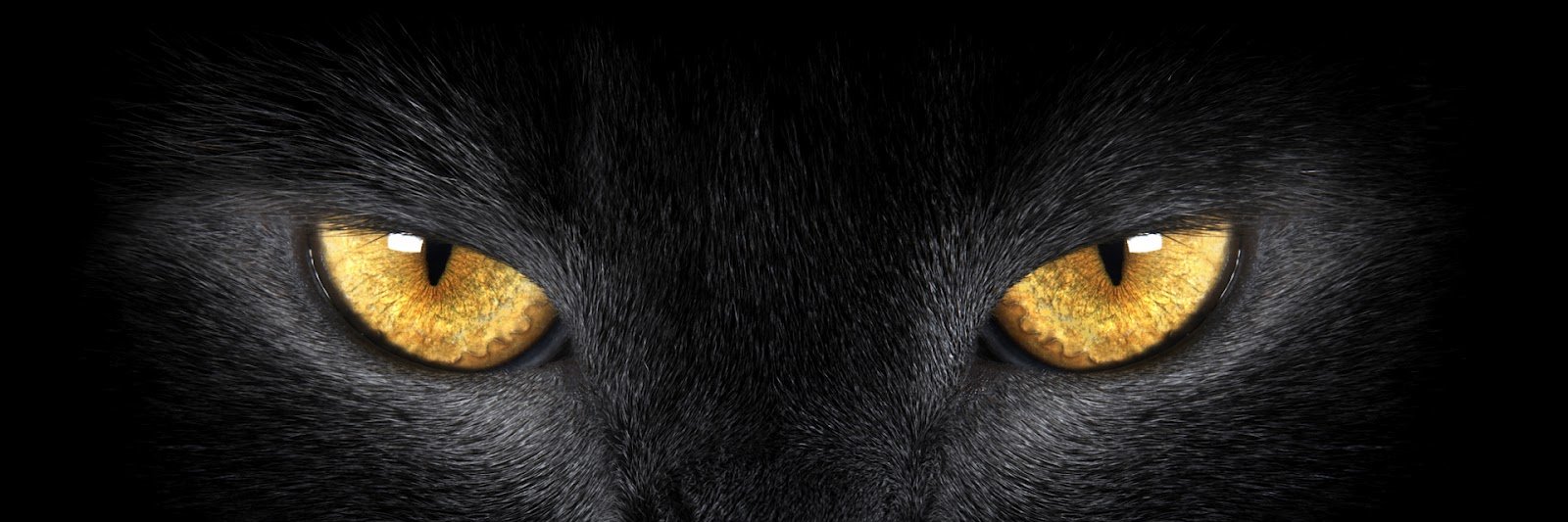 SoLeXx5's profile banner image