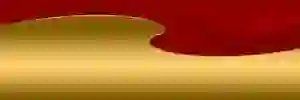 rochacleriston's profile banner image
