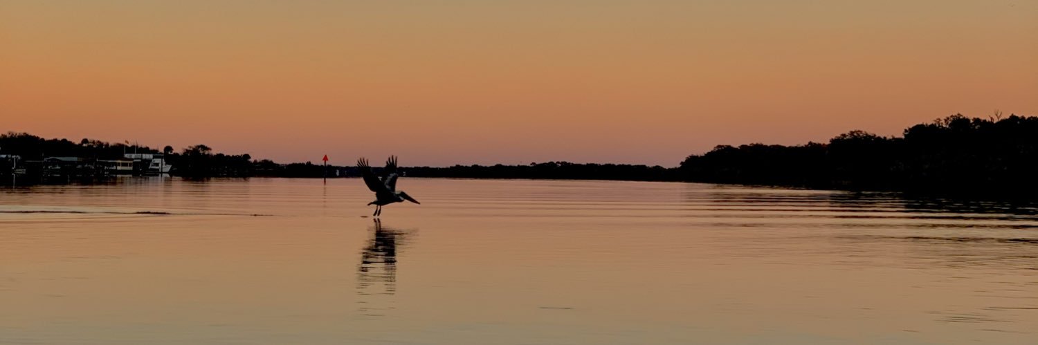 crystal marzo banner