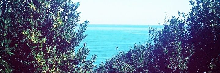 FVilin's profile banner image