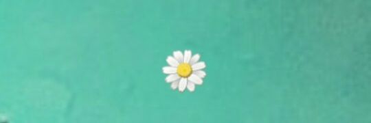 sheepcu's profile banner image