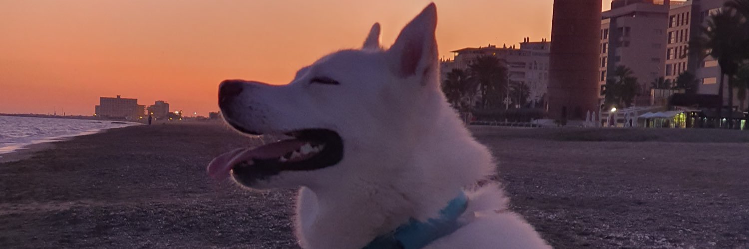 ainhooagm's profile banner image