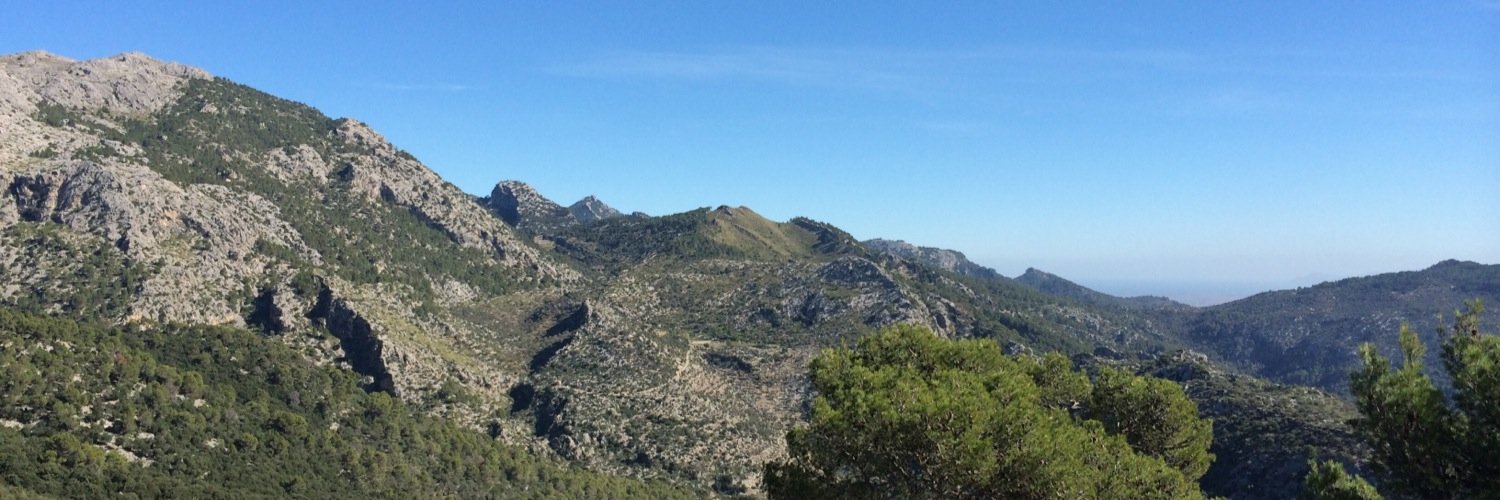 PedroCladera's profile banner image