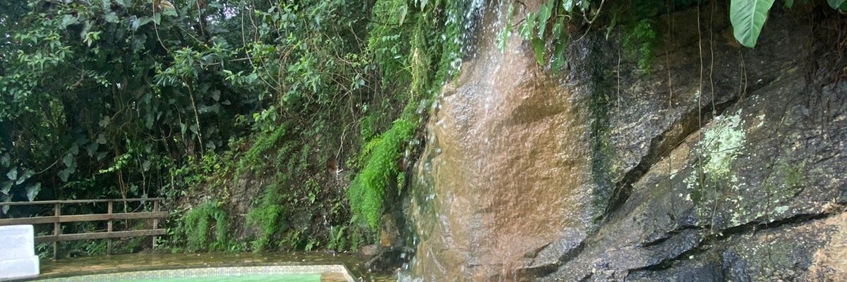 estersazevedo's profile banner image