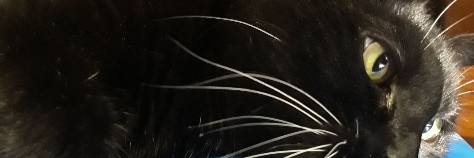 barrioeva's profile banner image