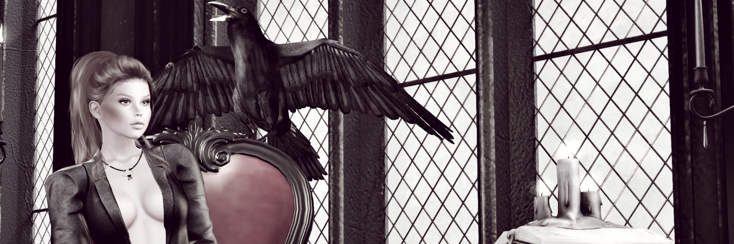 avemoidesignsSL's profile banner image