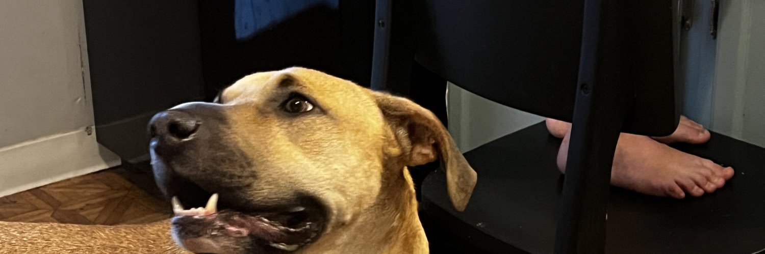 gilbofresh's profile banner image