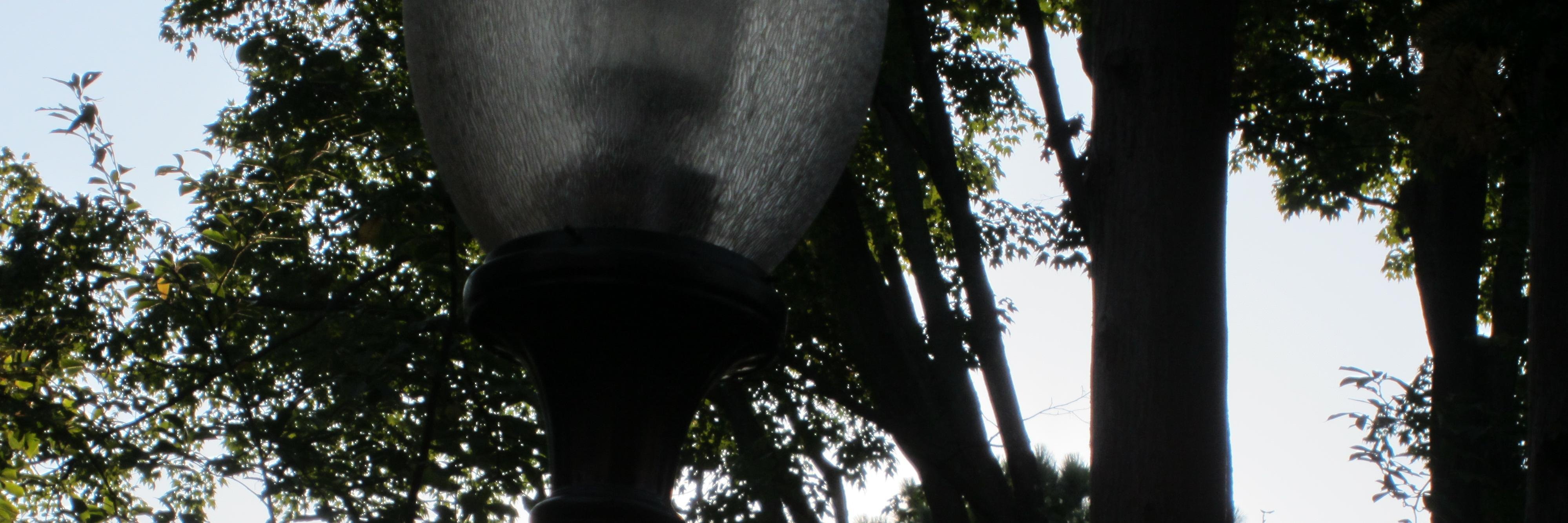 mdeaconumw's profile banner image