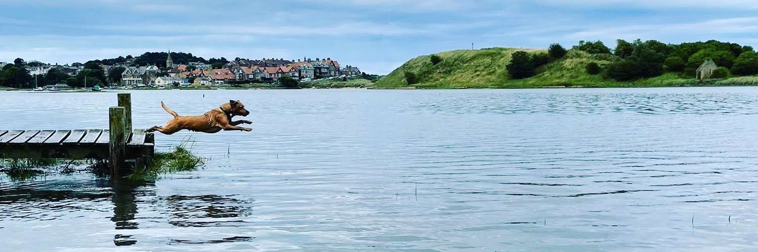 debra⚡️ banner