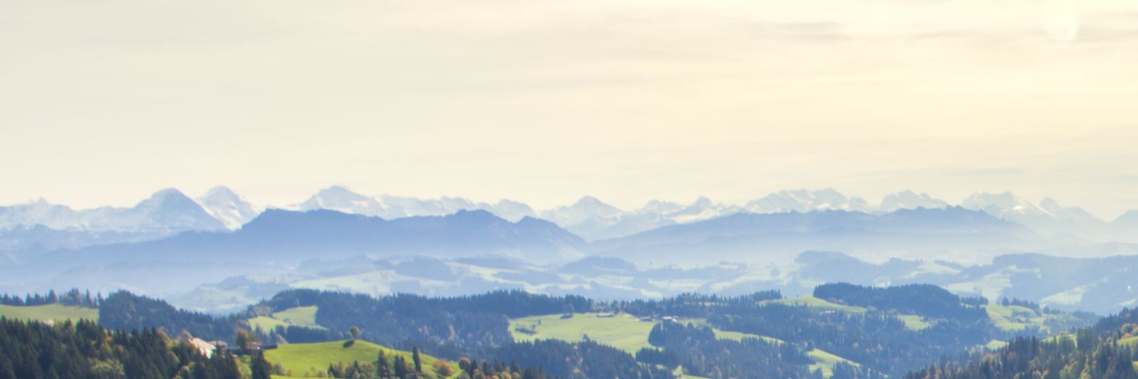 Aadityan Sridharan banner