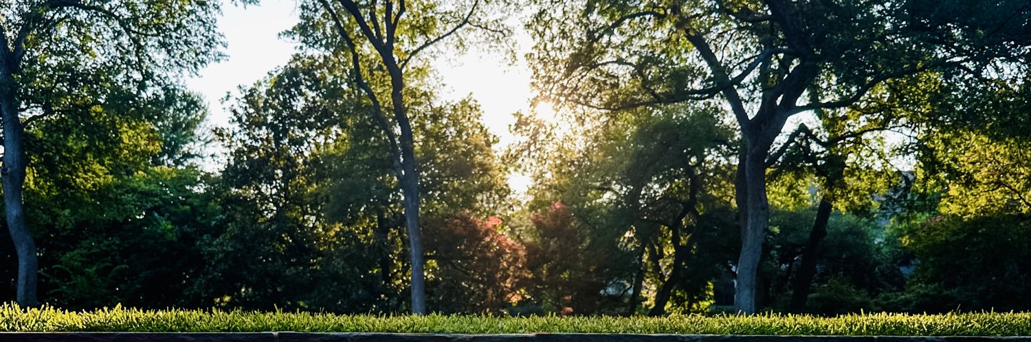 jenkwill's profile banner image