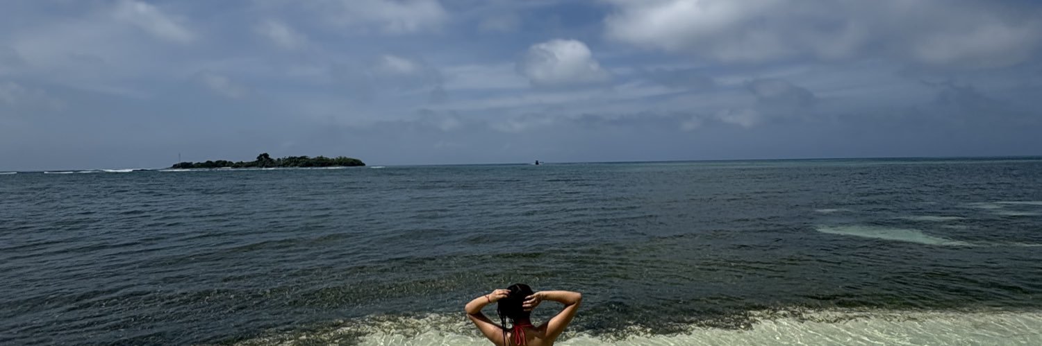 VaneeVilleda's profile banner image