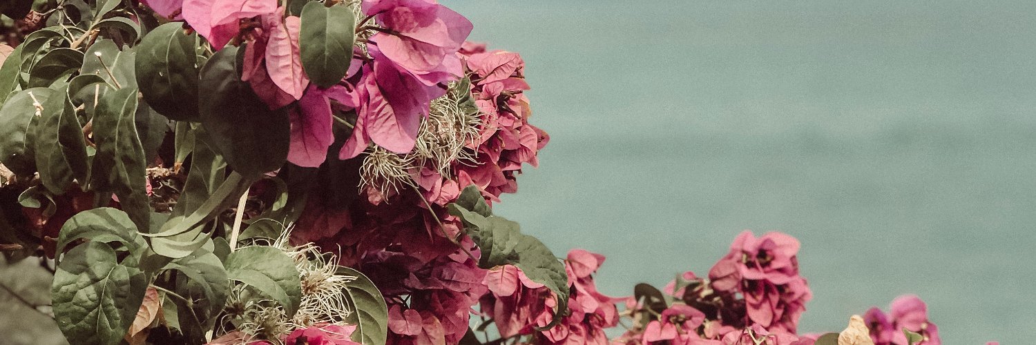 AnneEb_'s profile banner image