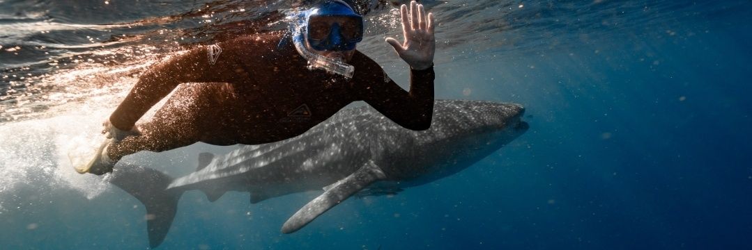 Michael Boaks banner