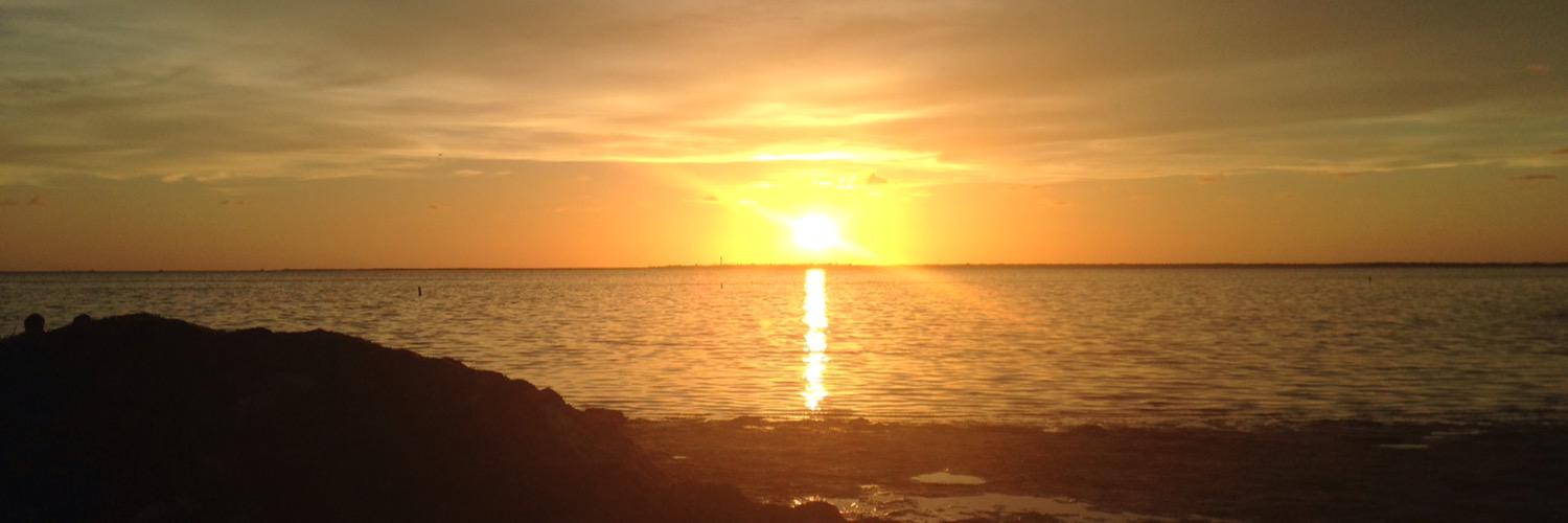 tsdedominicis23's profile banner image