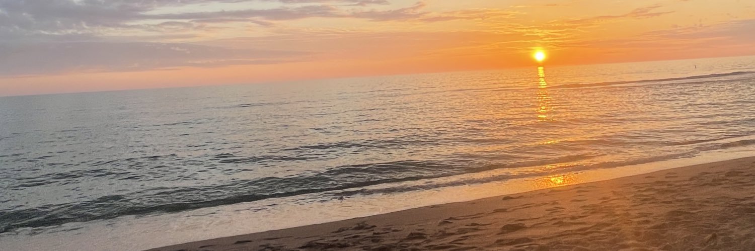 morgandonnelle's profile banner image
