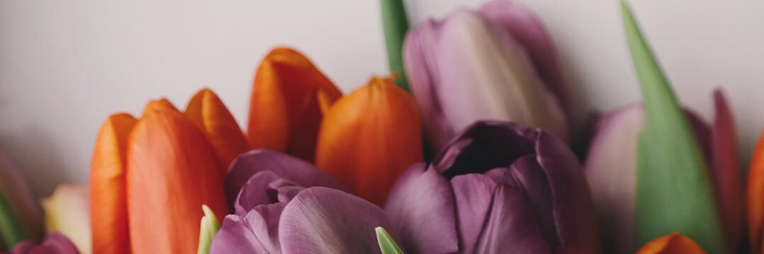 Ptriaul_'s profile banner image
